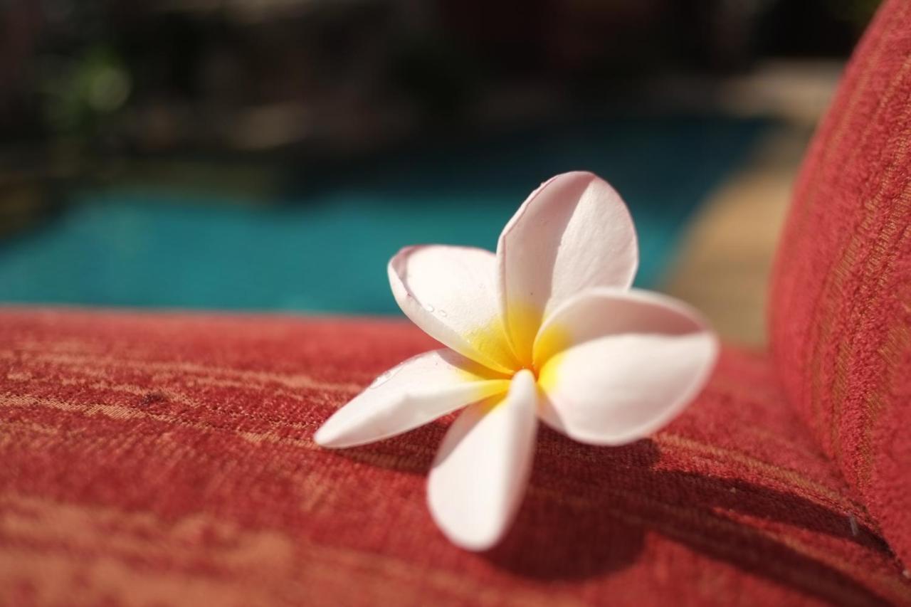 พระตำหนักวิลล่า 10 ห้องนอน พร้อมสระว่ายน้ำส่วนตัว Pattaya Bagian luar foto